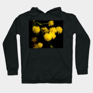 Spiny Hedge Wattle Hoodie